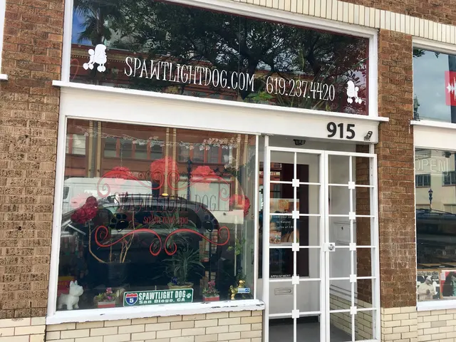 Spawtlight Dog Salon & Spa — customer photo 6
