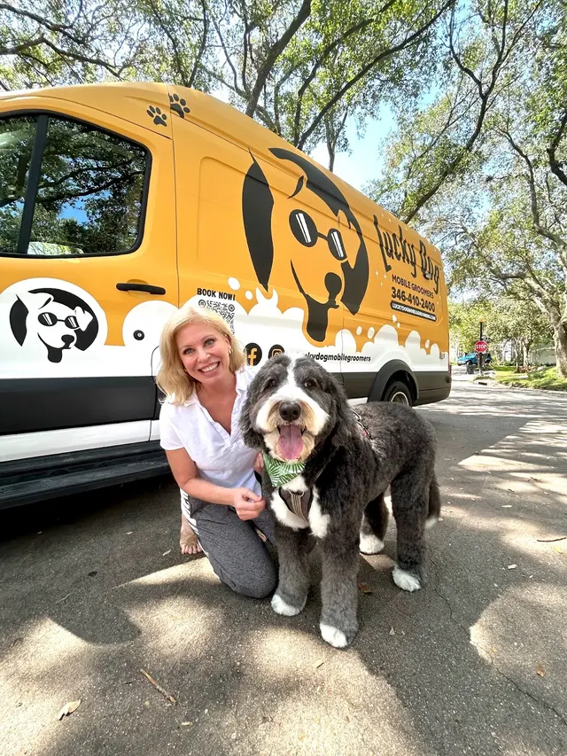 Lucky Dog Mobile Groomers - Connecticut — photo from the business 3