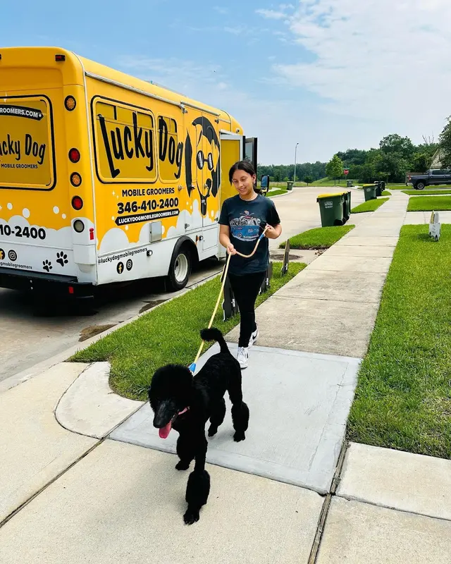 Lucky Dog Mobile Groomers - Connecticut — photo from the business 8