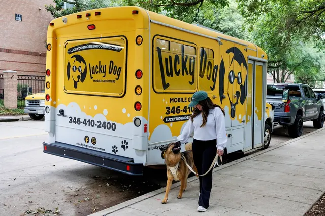 Lucky Dog Mobile Groomers - Connecticut — photo from the business 6