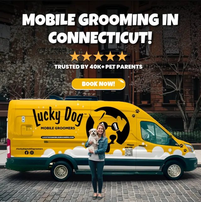 Lucky Dog Mobile Groomers - Connecticut — photo from the business 1