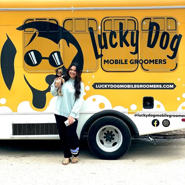 Lucky Dog Mobile Groomers - Connecticut — photo from the business 5