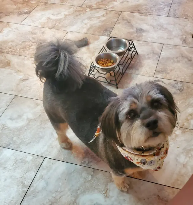 True Love Pet Care — customer photo 6