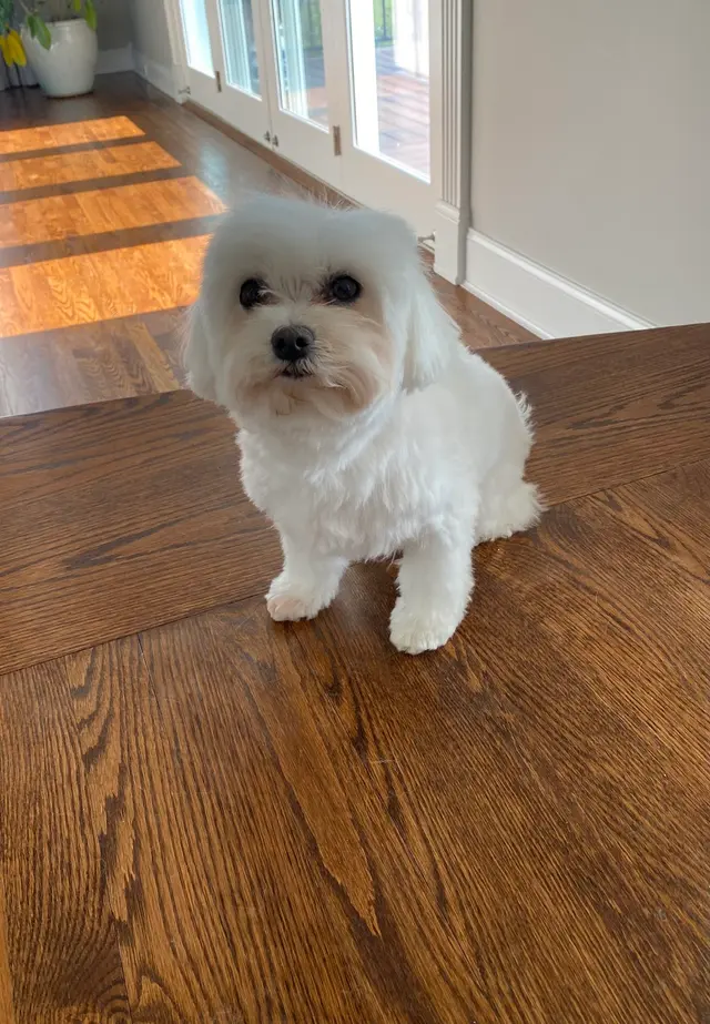 True Love Pet Care — customer photo 1