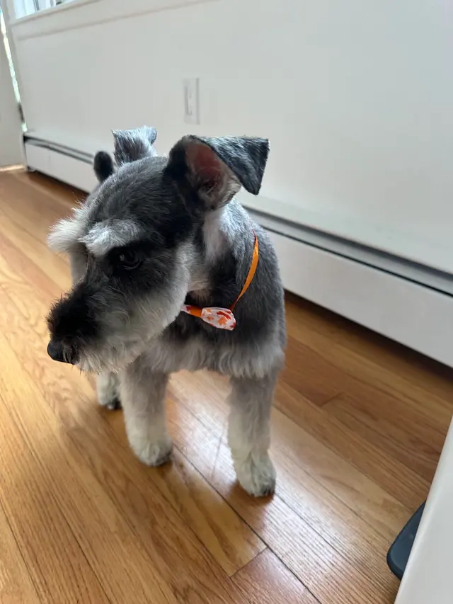 True Love Pet Care — customer photo 3