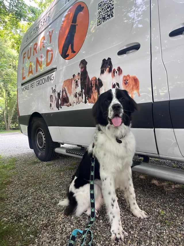 Furry Land Mobile Pet Grooming Fairfield County — photo from the business 1