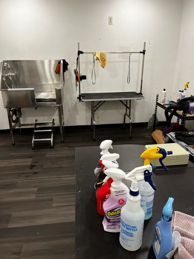 Upnorthbulliesllc Pet grooming — photo from the business 8