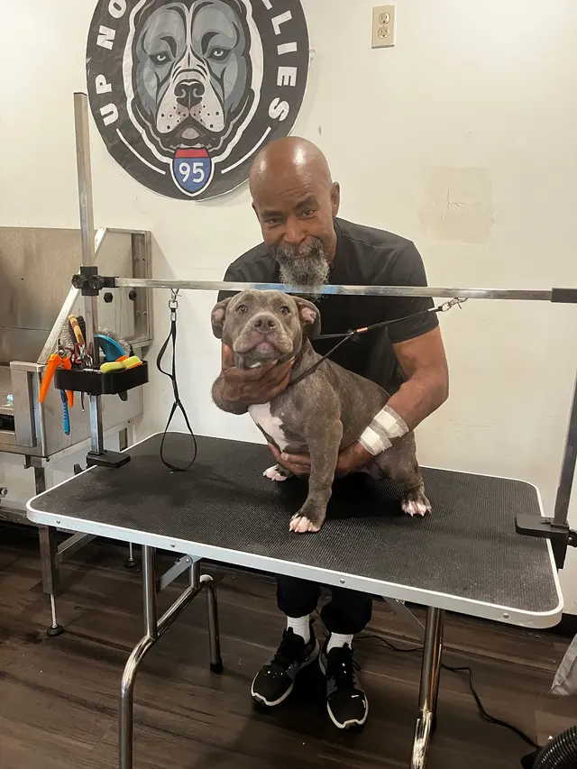 Upnorthbulliesllc Pet grooming — photo from the business 5