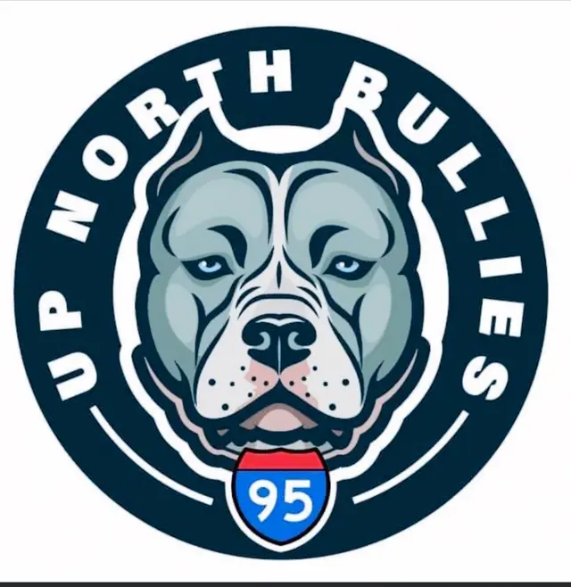 Upnorthbulliesllc Pet grooming — photo from the business 10