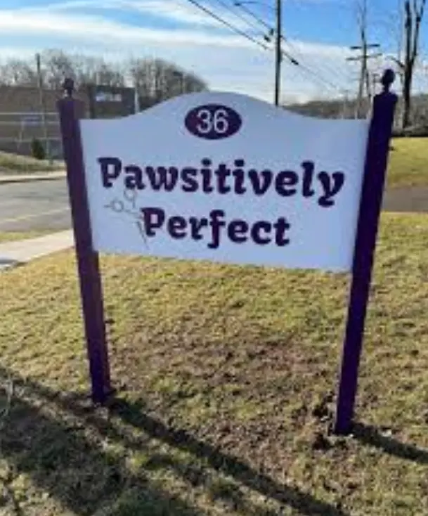 Pawsitively Perfect — customer photo 10