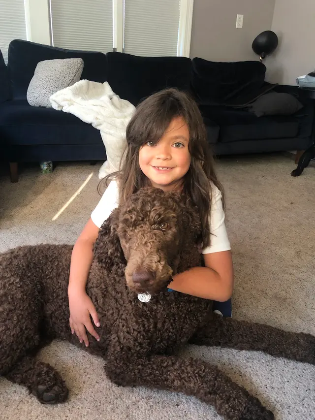 Pawsitively Perfect — customer photo 9