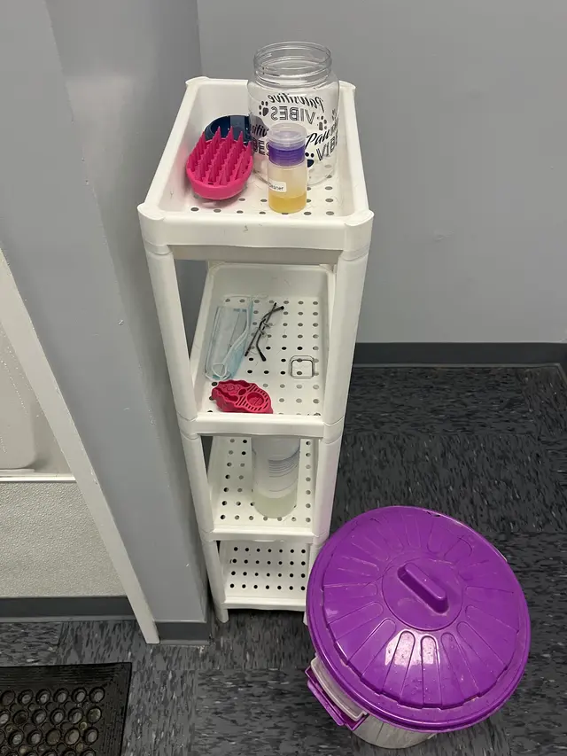 Pawsitively Perfect — customer photo 12