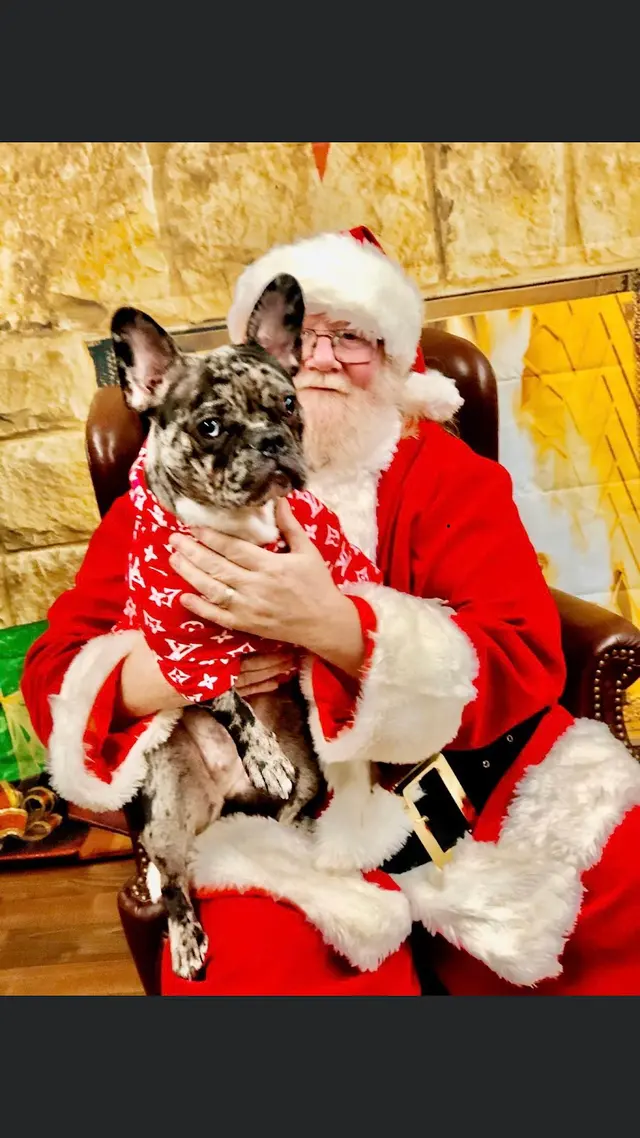 West Haven Animal Clinic — customer photo 5