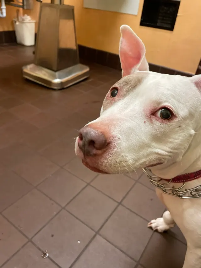 West Haven Animal Clinic — customer photo 4