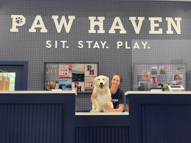 Paw Haven — photo from the business 1