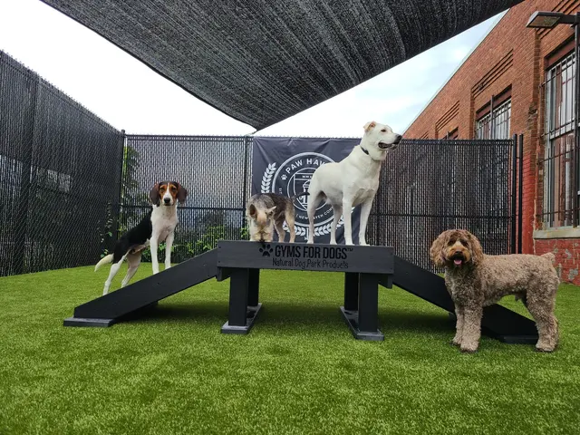 Paw Haven — photo from the business 3