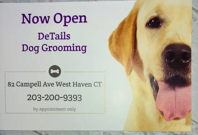 DeTails Dog Grooming LLC — customer photo 2