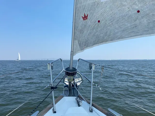 Annapolis Sailing Adventures, LLC — customer photo 7