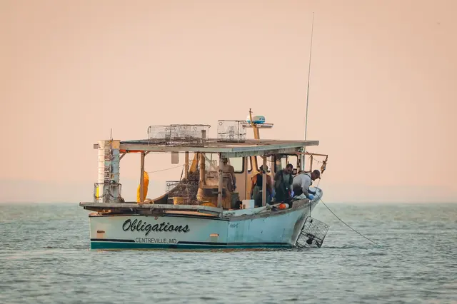 Darling Charters — customer photo 10