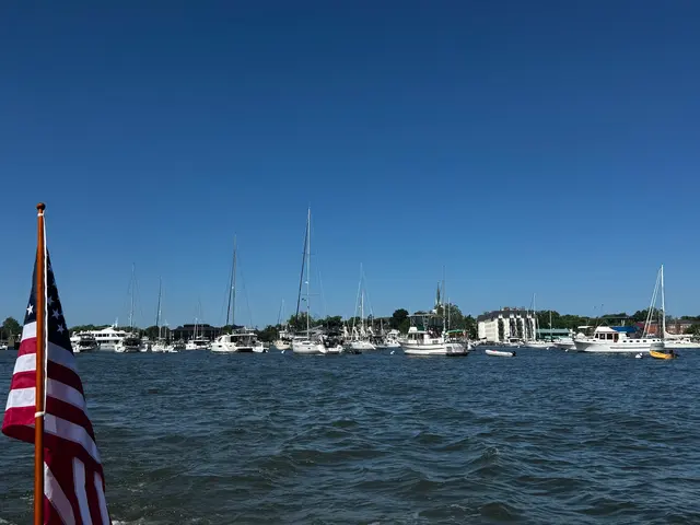 Darling Charters — customer photo 8