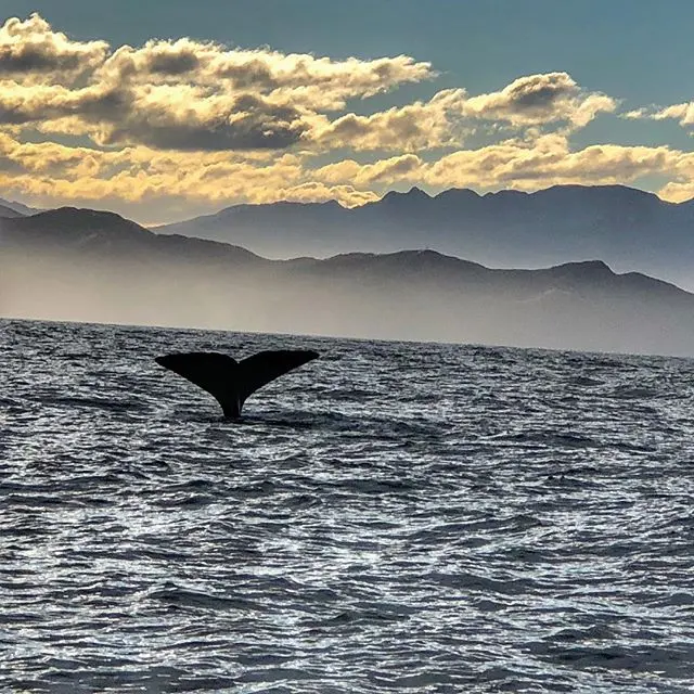 WorldTravelService — photo from the business 10