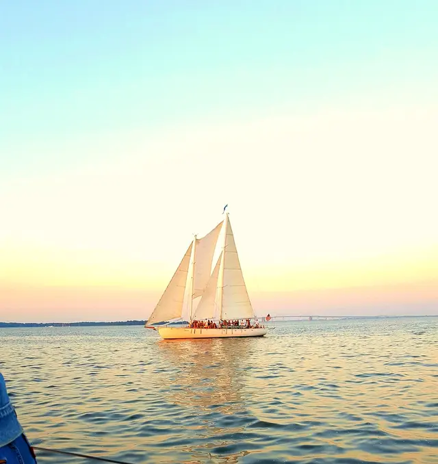 Schooner Woodwind Sailing Cruises — photo from the business 6