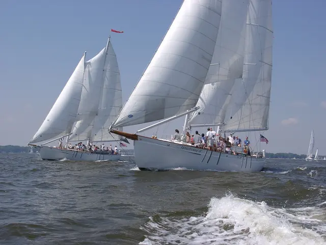 Schooner Woodwind Sailing Cruises — photo from the business 1