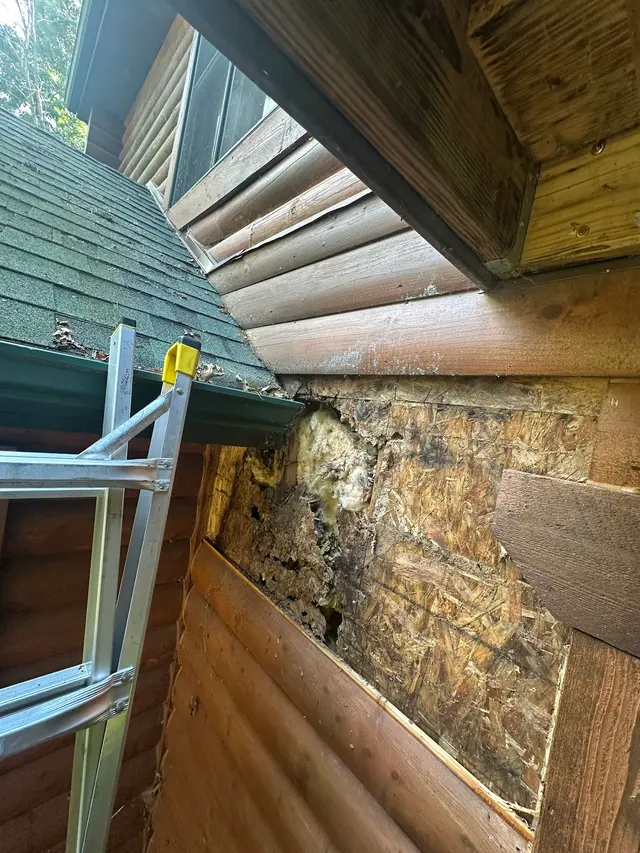 Bats & Beyond Wildlife Services LLC — photo from the business 6