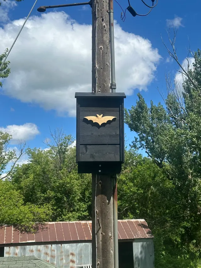 Bats & Beyond Wildlife Services LLC — photo from the business 9