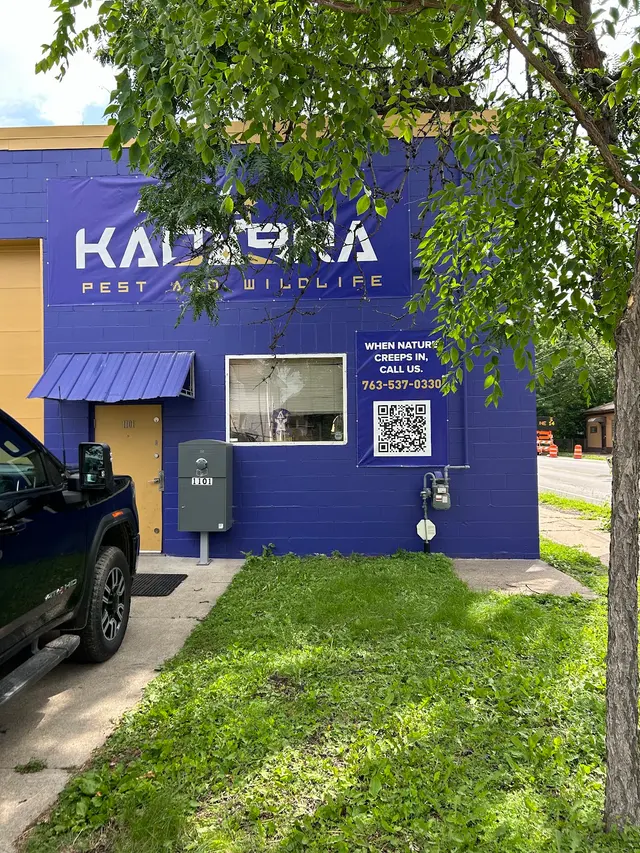 Abra Kadabra — photo from the business 8