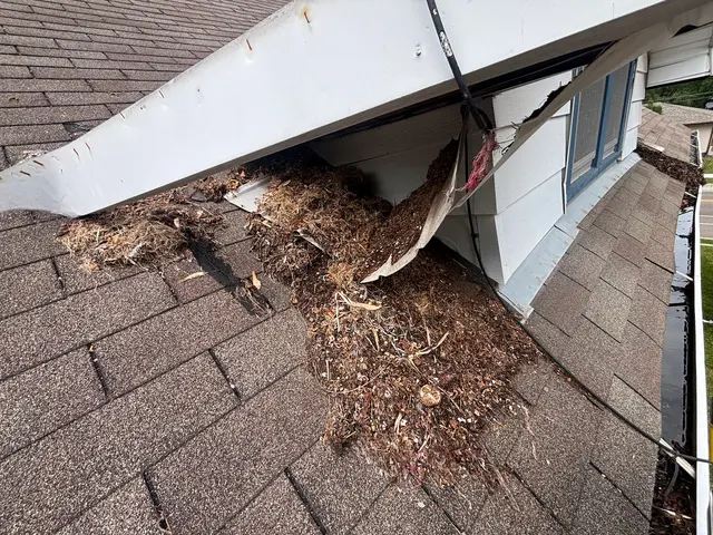 Skedaddle Humane Wildlife Control - Minneapolis — photo from the business 3