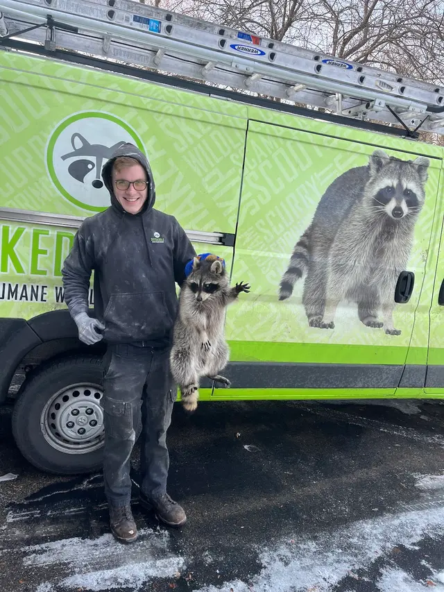 Skedaddle Humane Wildlife Control - Minneapolis — photo from the business 9