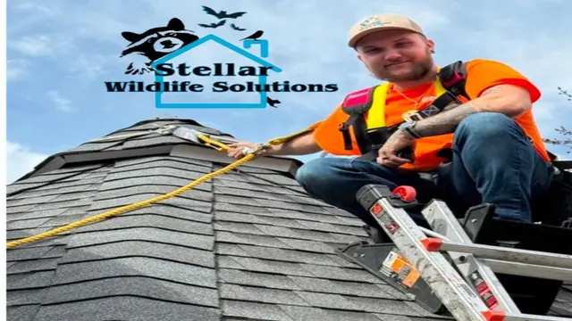 Stellar Wildlife Solutions — photo from the business 1
