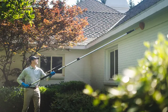 Greenix Pest Control — photo from the business 8