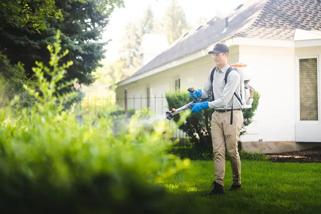 Greenix Pest Control — photo from the business 1