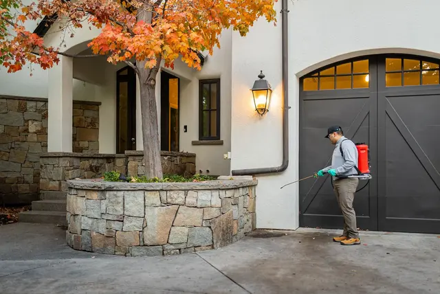 Greenix Pest Control — photo from the business 3