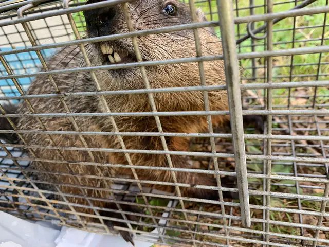 BEAST Wildlife Solutions — photo from the business 5