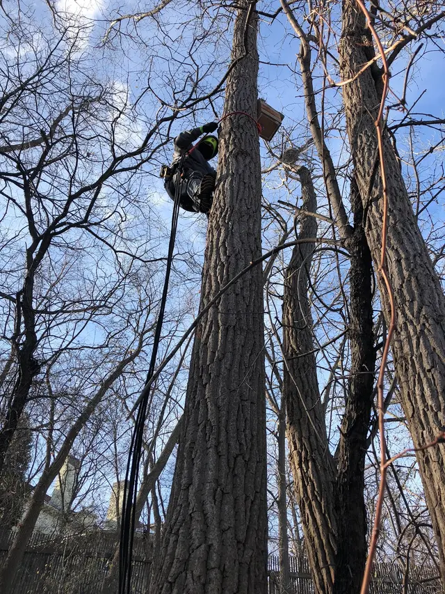 BEAST Wildlife Solutions — photo from the business 9