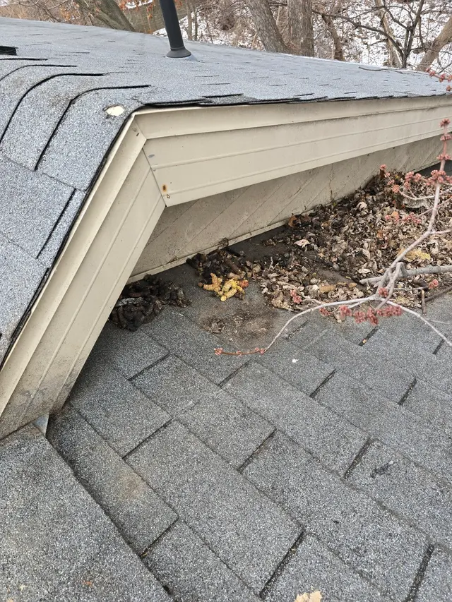 Varment Guard Wildlife Services — customer photo 11