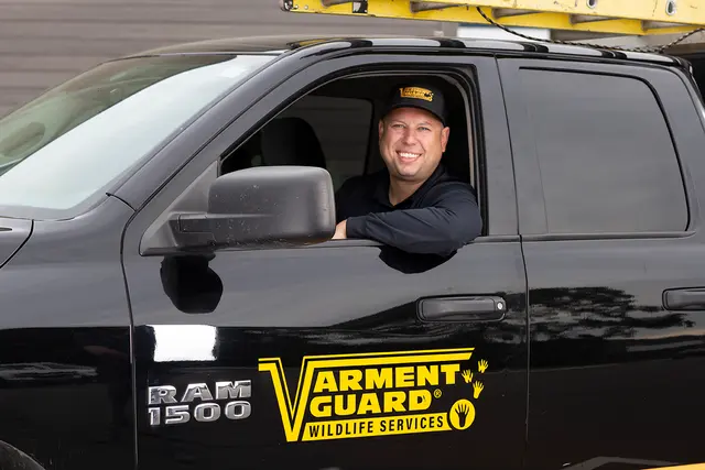 Varment Guard Wildlife Services — photo from the business 12