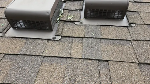 Varment Guard Wildlife Services — customer photo 9
