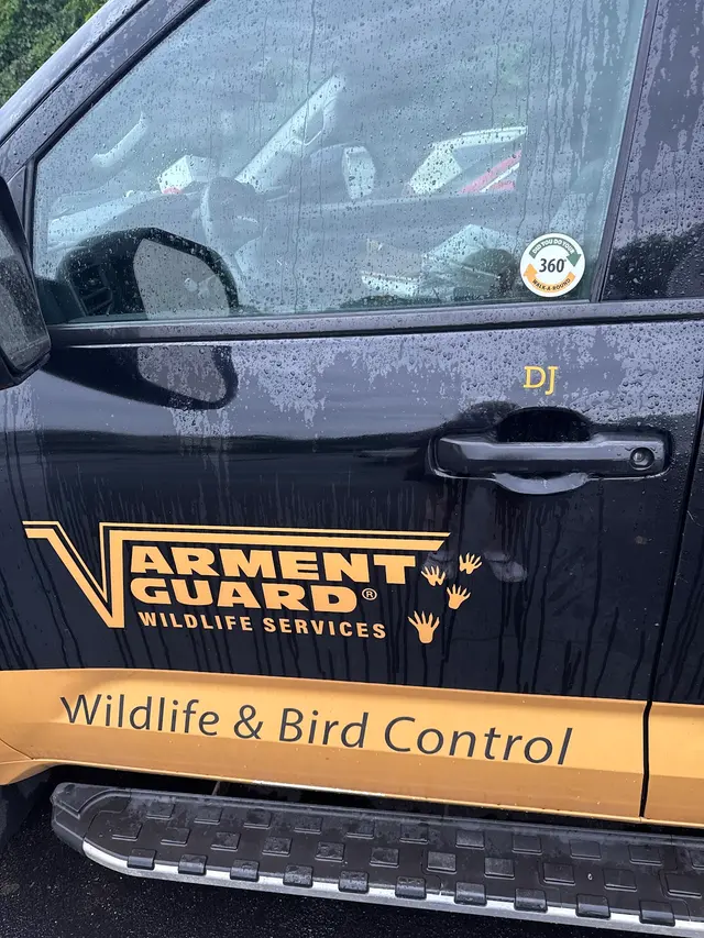 Varment Guard Wildlife Services — customer photo 10