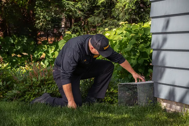 Varment Guard Wildlife Services — photo from the business 2