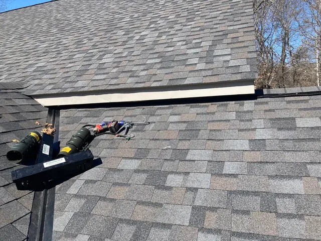 Varment Guard Wildlife Services — customer photo 3