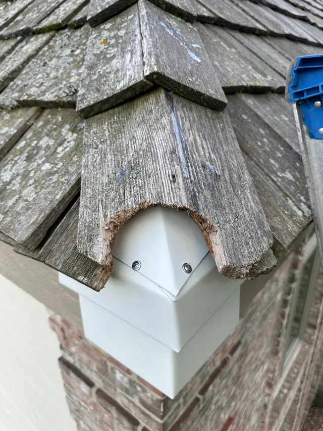 Professional Wildlife Services Inc — photo from the business 3