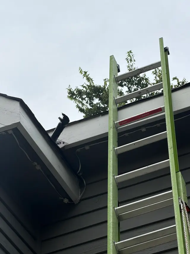 Customer photo of work by Professional Wildlife Services Inc, from Allan Bates's review