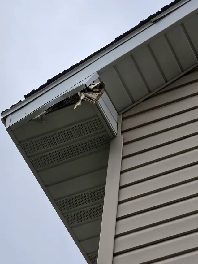 Wildlife Management Services — customer photo 10