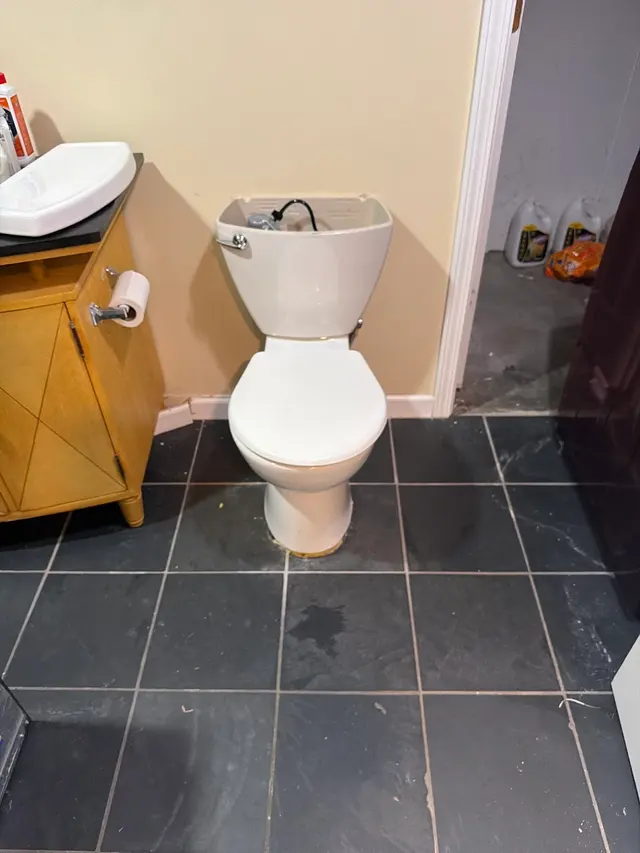Mr. Rooter Plumbing of St. Louis — photo from the business 7