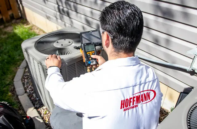 Hoffmann Brothers — photo from the business 12