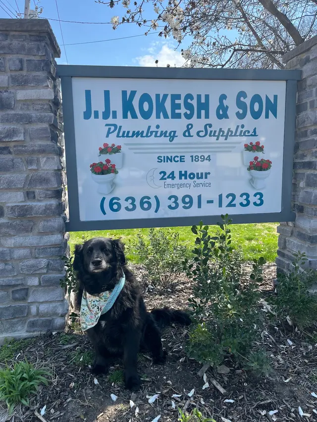 J J Kokesh & Son Inc — photo from the business 9